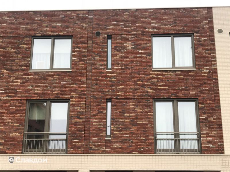 Кирпич облицовочный ENGELS Limburgs oranje bont, 215*45-50*66 мм