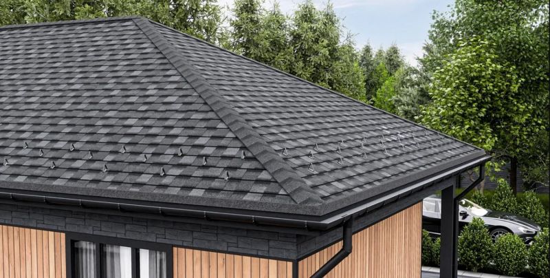 Гибкая черепица Shinglas (Шинглас) Кантри Аляска