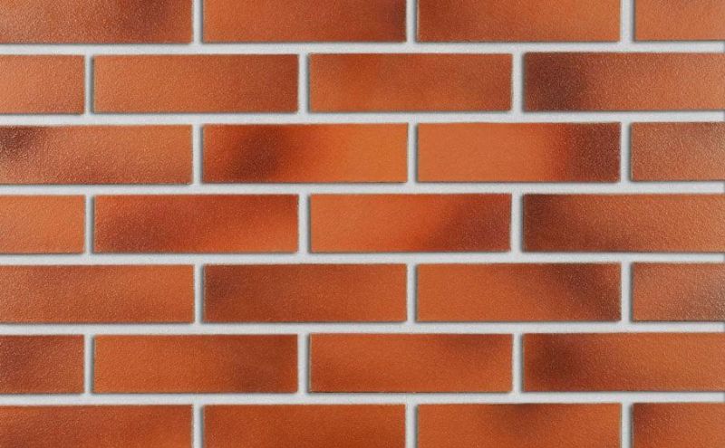 Клинкерная облицовочная плитка Roben NF15 Darwin гладкая, 240*71*15 мм