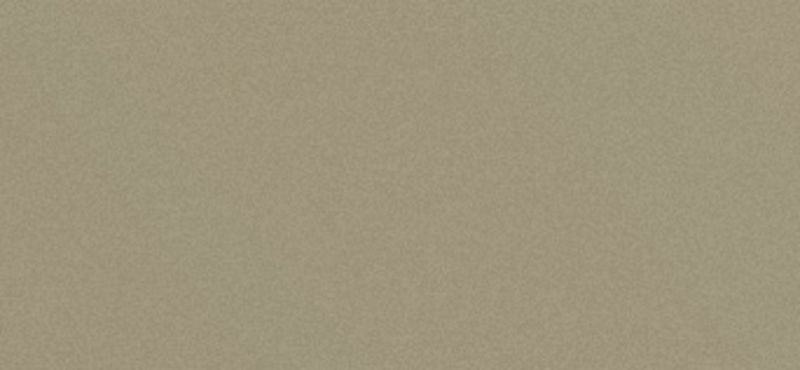 Сайдинг CEDRAL (Кедрал) click smooth С03