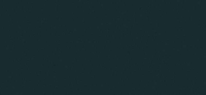 Сайдинг CEDRAL (Кедрал) click smooth С19