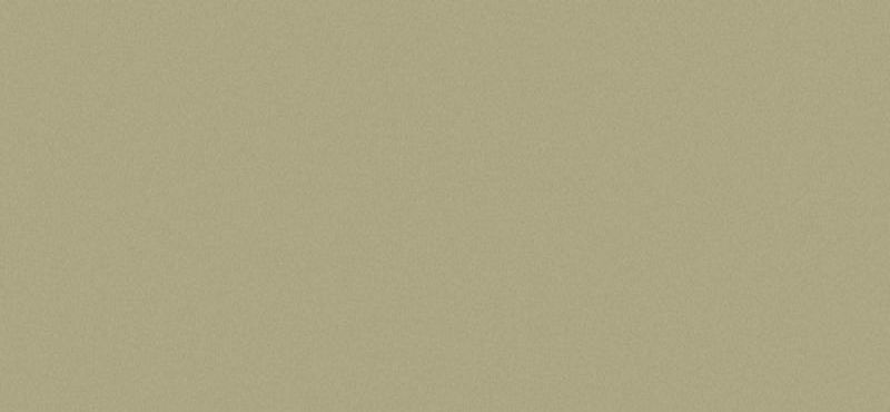 Сайдинг CEDRAL (Кедрал) click smooth С57