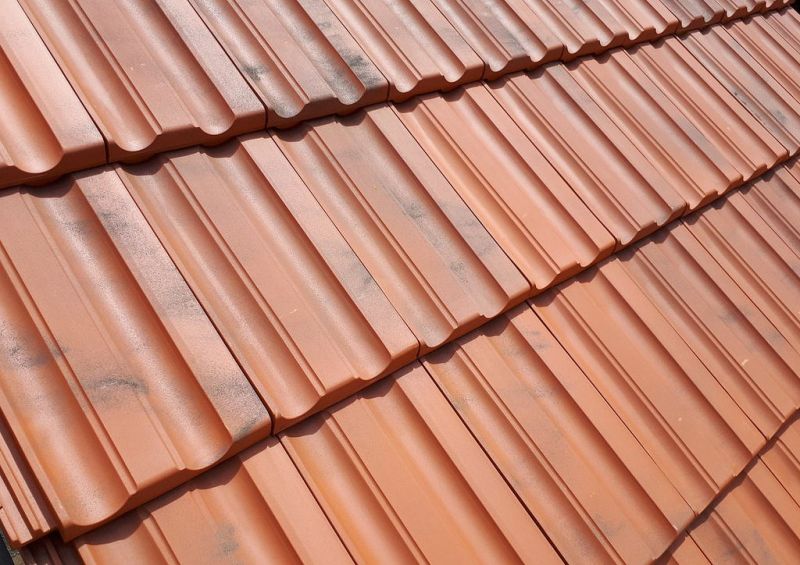 Керамическая черепица Tejas Borja TECHNICA-10 RED