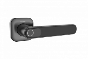 Электронные автономные ВРЕЗНЫЕ замки С РУЧКОЙ Kaadas LH01