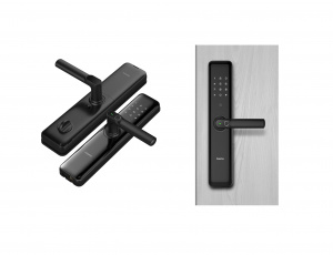 Электронные автономные ВРЕЗНЫЕ замки С РУЧКОЙ Kaadas S500