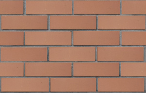 Кирпич облицовочный пустотелый ЛСР светло-коричневый гладкий, 250*120*65 мм