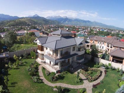 цвет : алланит