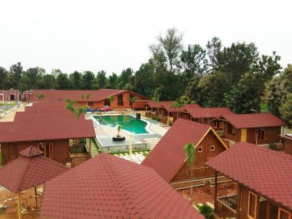 цвет : красный